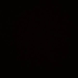 Meet your Posher, Joel